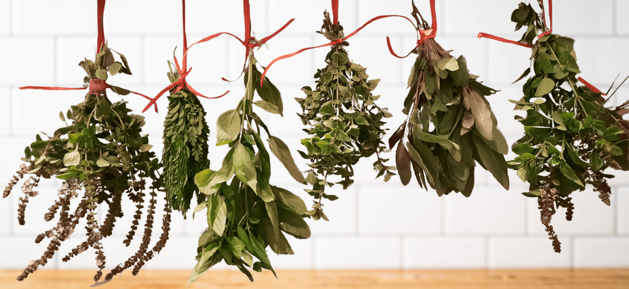 herbs hanging2.png